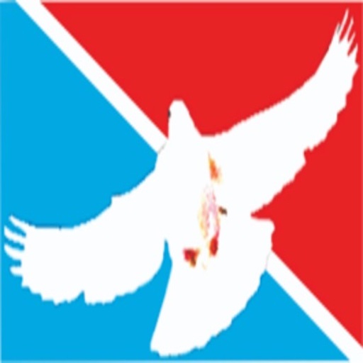 AMJU MFB logo