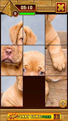 Puzzle Of Animals Screen 3