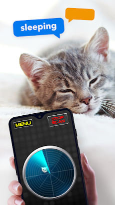 What Do Cats: Joke Radarのおすすめ画像1