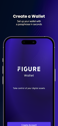 Figure Wallet Screen 3