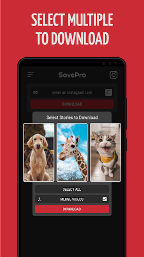 Video downloader for Instagram Screen 2