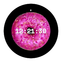 Doughnuts Watch Face - Digital