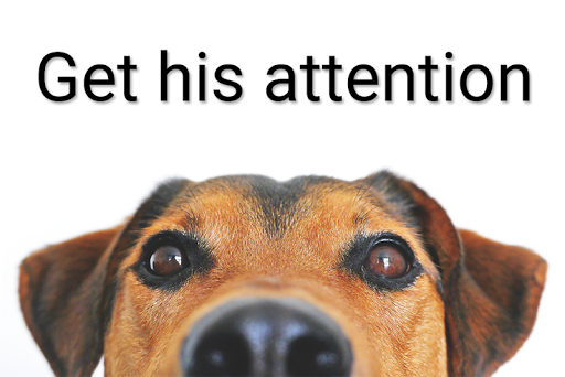Dog Trainer: Clicker & Whistle Screen 2