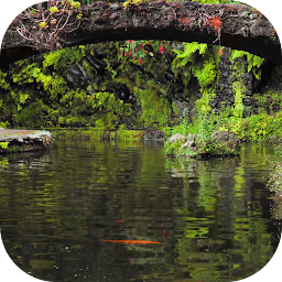 Icon image Real pond with Koi