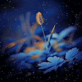 Blue Rainy Flower LWP icon