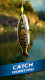 screenshot of Ultimate Fishing! Fish Game