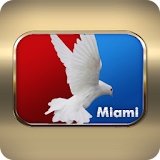 Almavision Miami icon