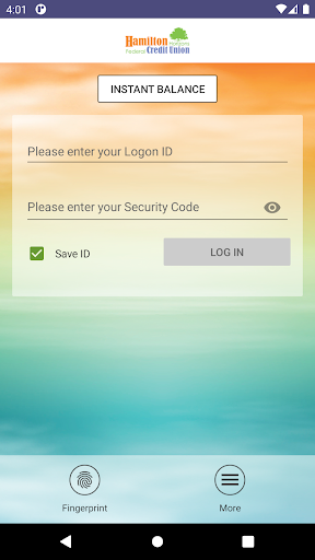 Hamilton Horizons FCU Screen 2