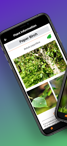 Android application Browse Poster screenshort