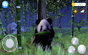 screenshot of Talking Panda: Kung Fu Pet