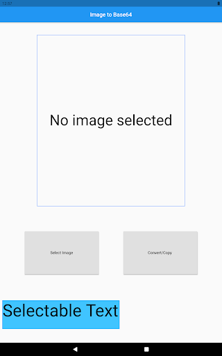 Image to Base64 Converter Screen 3