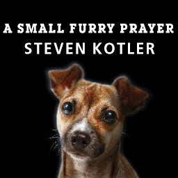 Icon image A Small Furry Prayer: Dog Rescue and the Meaning of Life