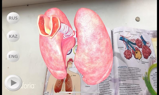 Android application Anatomy AR Book screenshort