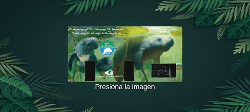 RAREC AR Screen 2