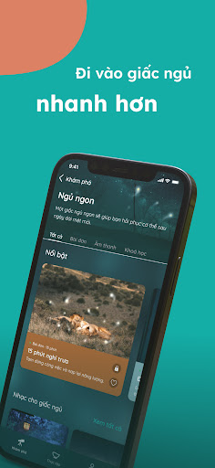 Mindentify The wellbeing path