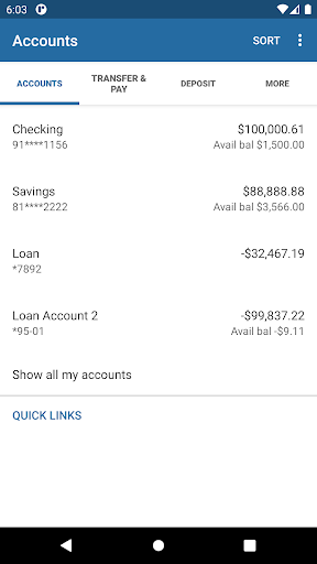 North Georgia National Bank Screen 3