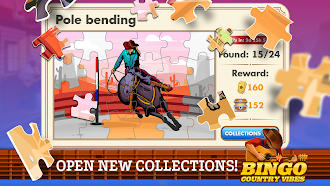 Game screenshot Bingo Country Vibes-Live Games hack