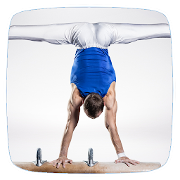 Icon image Gymnastics Handstand Exercises