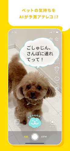 ツイペット：犬や猫のペットのきもちがわかる！？ 翻訳アプリのおすすめ画像2