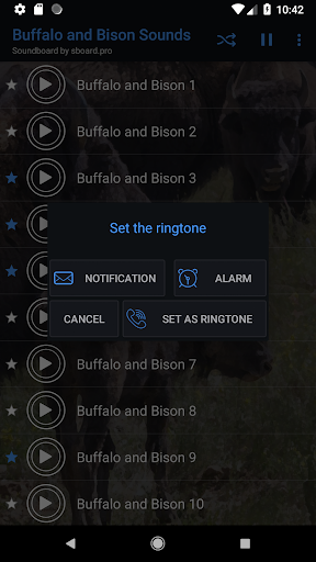 Buffalo and Bison sounds  Sboard.pro