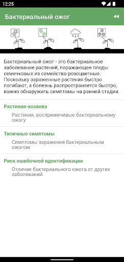 Предварительный просмотр приложения