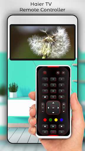 Haier TV Remote Controller Screen 2