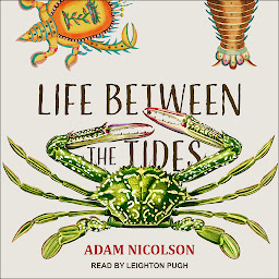 Icon image Life Between the Tides