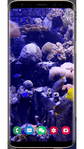 4D Real Aquarium Wallpaper