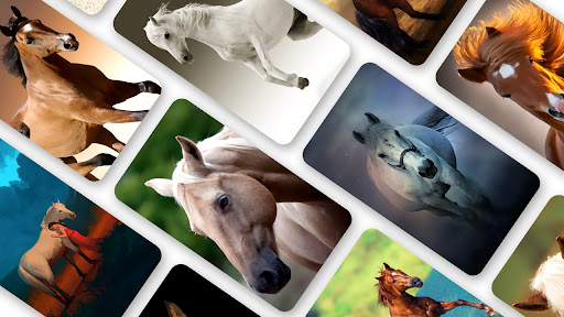 Android application Horse Wallpaper 2023 screenshort