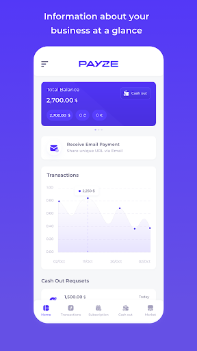 Payze Screen 2
