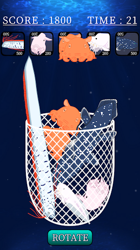 All-You-Can-Pack Sea Creatures