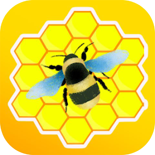 Honeygain App Make Money Guide