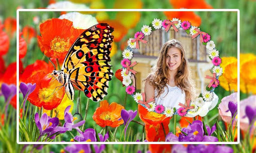 Butterfly Photo Frames HD Screen 2