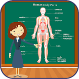 Body Parts Names and Pictures icon