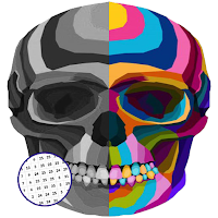 Skull Art Coloring By Number - PixelArt Coloring