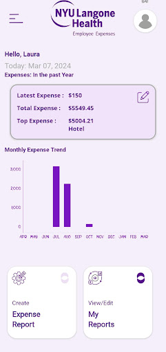Employee Expenses Screen 3