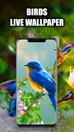 Android application Birds Wallpaper Live 3D/HD/4K screenshort