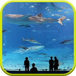 Cover Image of ดาวน์โหลด Mega Aquarium Video Wallpaper  APK
