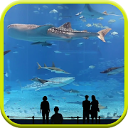 Mega Aquarium Video Wallpaper