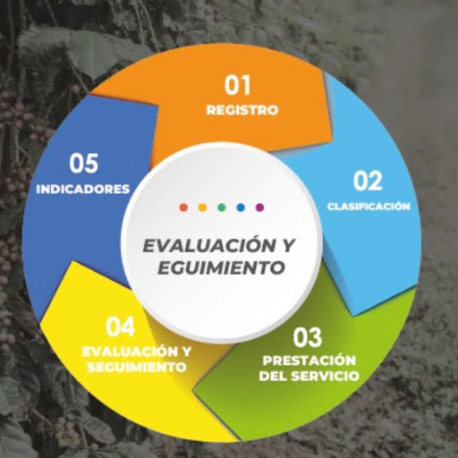 El Campo Innova Screen 2