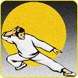 Memory Kung Fu icon