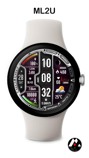 ML2U 273 Watch Face screenshot 3