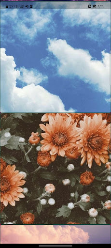 Android application صور الخلفيات screenshort