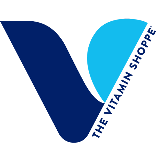 VSION CORPORATE logo