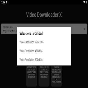 Video Downloader X