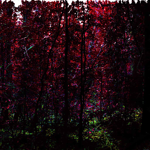 Bosque Mustakis Screen 2