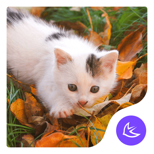 White Cat-APUS Launcher theme  Icon