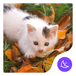 Cover Image of Download White Cat-APUS Launcher theme  APK