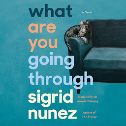 Icon image What Are You Going Through: A Novel