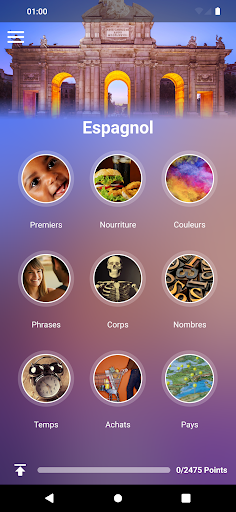 Aperçu de l'application